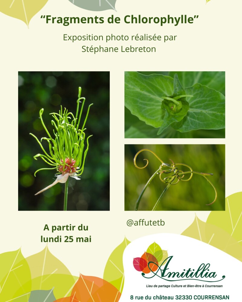 expo stéphane